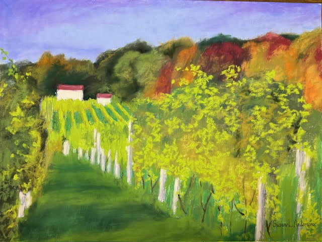 Vineyard in Glenn